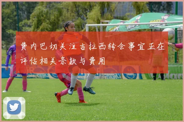 费内巴切关注吉拉西转会事宜正在评估相关条款与费用