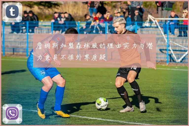 詹姆斯加盟森林狼的理由实力与潜力兼具不惧外界质疑