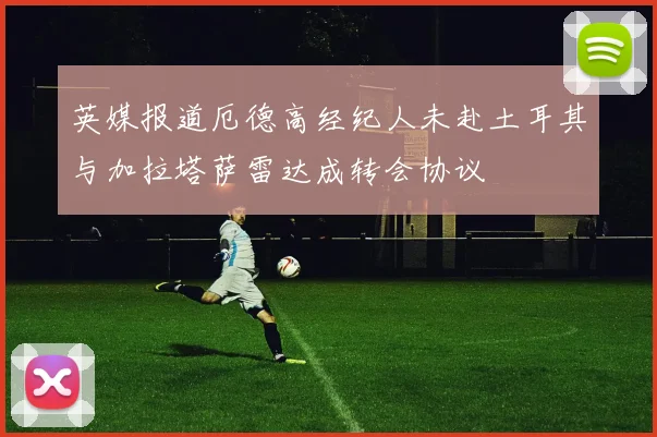 英媒报道厄德高经纪人未赴土耳其与加拉塔萨雷达成转会协议